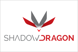 Shadow Dragon